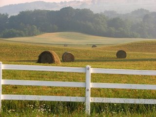 Hay Fields behind Painted Bar Stables