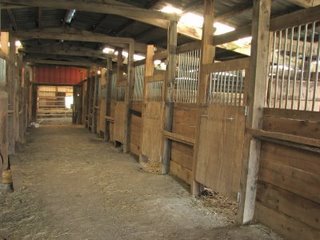 Main Aisle of Stalls